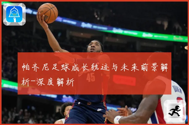 帕齐尼足球成长轨迹与未来前景解析-深度解析