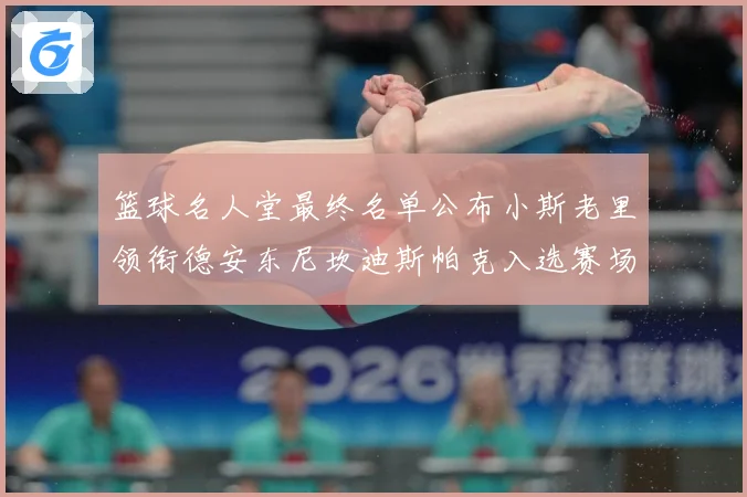 篮球名人堂最终名单公布小斯老里领衔德安东尼坎迪斯帕克入选赛场复盘-深度解析